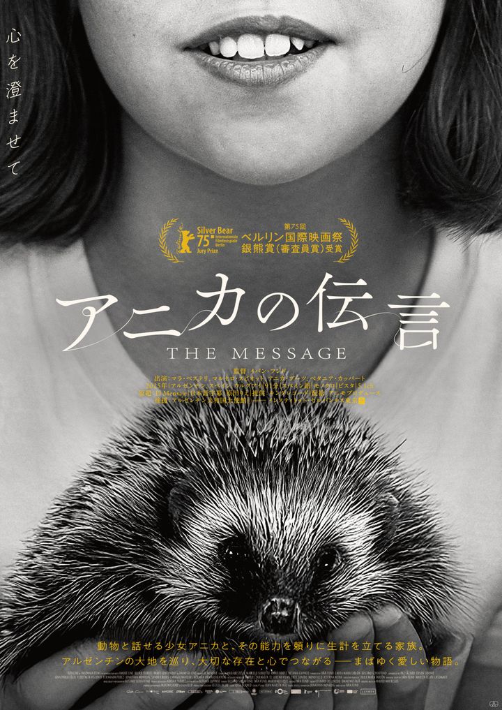 映画『アニカの伝言』ポスタービジュアル （C） Ivan Fund， Laura Mara Tablon， Gustavo Schiaffino， Rita Cine SRL， Insomnia Films SRL， Amore cinema SL， Blurr Rojo SL， Panes 360 Contenidos SL， Germán Ormaechea Puig 2025 width=