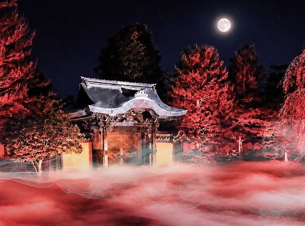 【京都府京都市】伝統とテクノロジーが交差！高台寺で夜間特別拝観「デジタル能舞 in 高台寺」開催