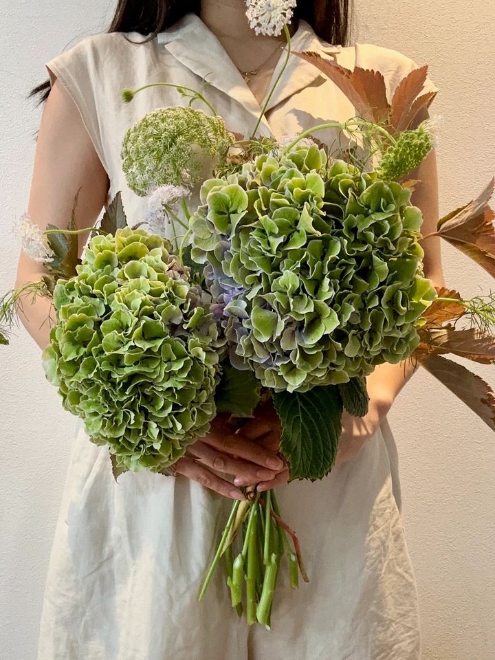 花束Vol.5｜初秋に似合う、グリーン紫陽花の花束_1