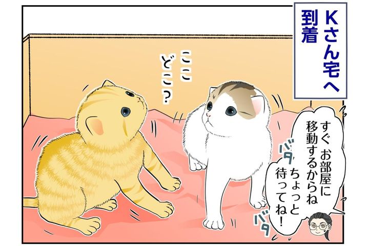 【マンガ・老猫日誌＃135】「ようこそ〜」子猫2匹に、猫たちが大集合〜思い出の老猫日誌・桃姐と小論