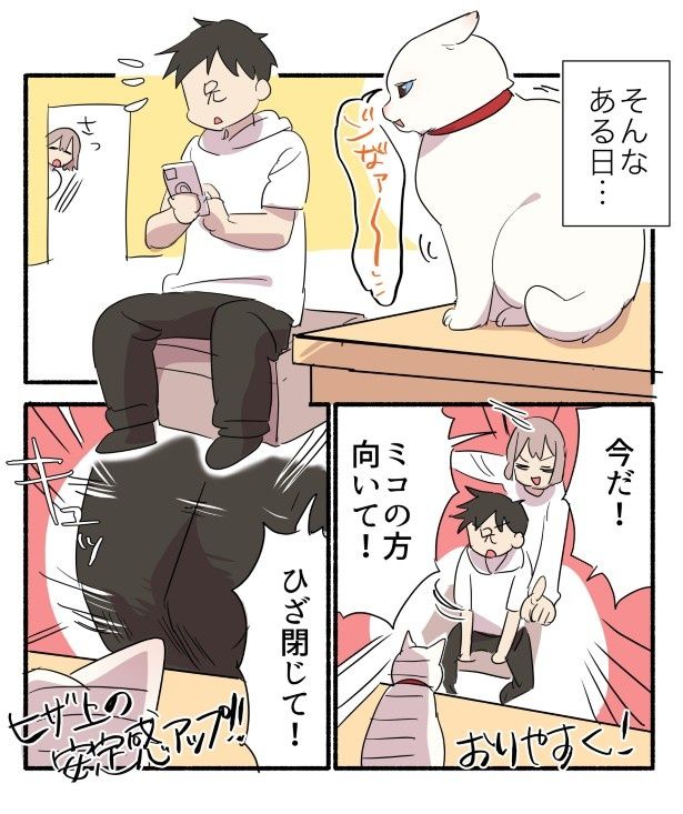 この鳴き方はチャンスかも…!! 久川はる(@hisakawa_haru)