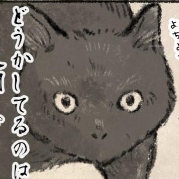 初めてのお留守番で猫は？ 画像提供：キジネコ様(@Motidukineko)