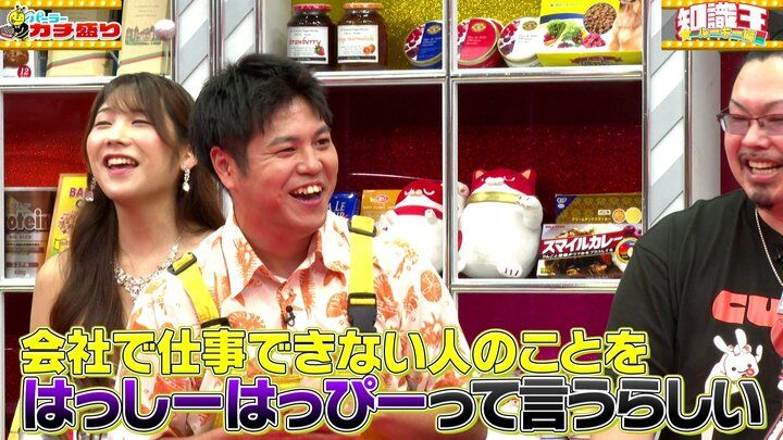はっしーはっぴー