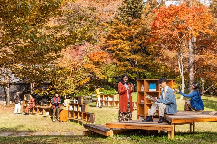 開放的な丘で鮮やかな紅葉と読書を楽しむ「カラマツの丘」エリア