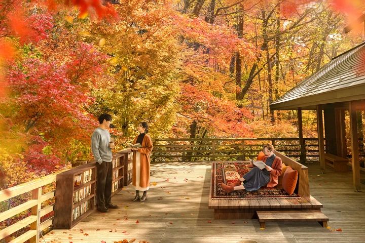 深く読書に没頭する「川沿いエリア」が新登場