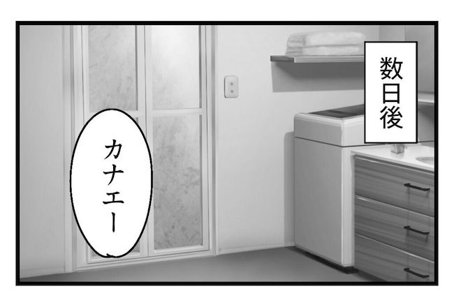 うちの可愛い息子を見て！