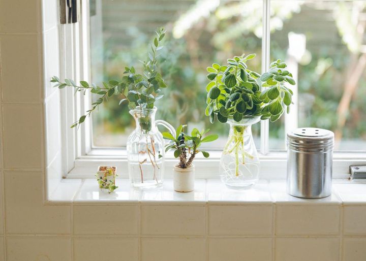 裏庭を眺めながら作業ができるキッチン。庭から摘んできた植物の緑が白いタイルに映えます。