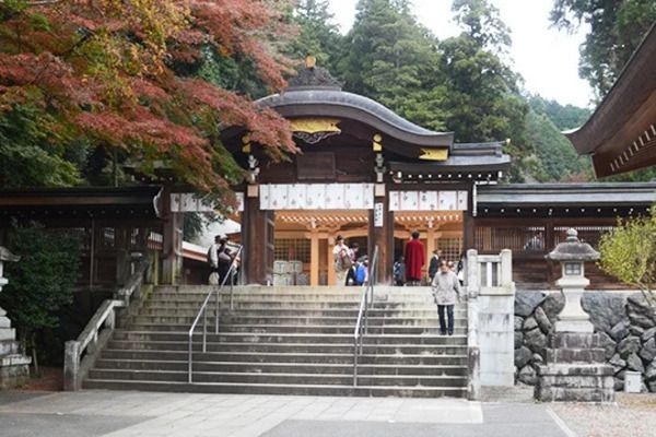 【埼玉県日高市】「第9回 全国キムチグランプリ」開催！発酵・熟成キムチを募集し、一般投票で金賞決定