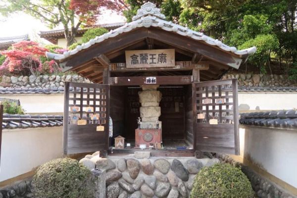 【埼玉県日高市】「第9回 全国キムチグランプリ」開催！発酵・熟成キムチを募集し、一般投票で金賞決定