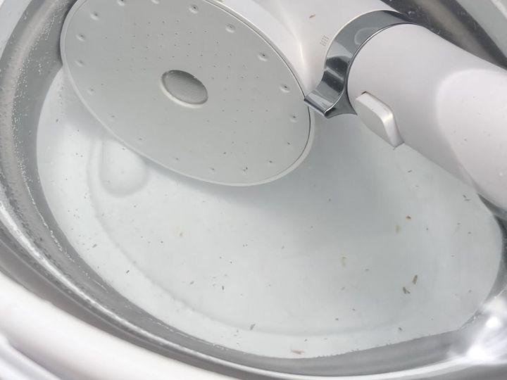 画像3: 浸け置きして30分後