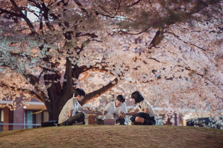 いつかの君に 春、桜の木の下で同級生３人でケーキを食べるシーン