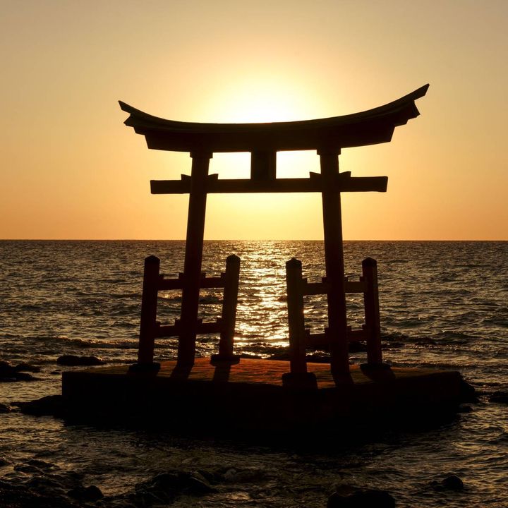 鳥居と海