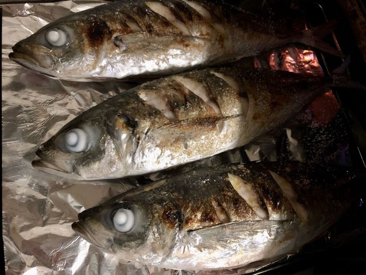 今夜は贅沢に海鮮を楽しんじゃおう！イカとアジを堪能【天然魚クエスト】