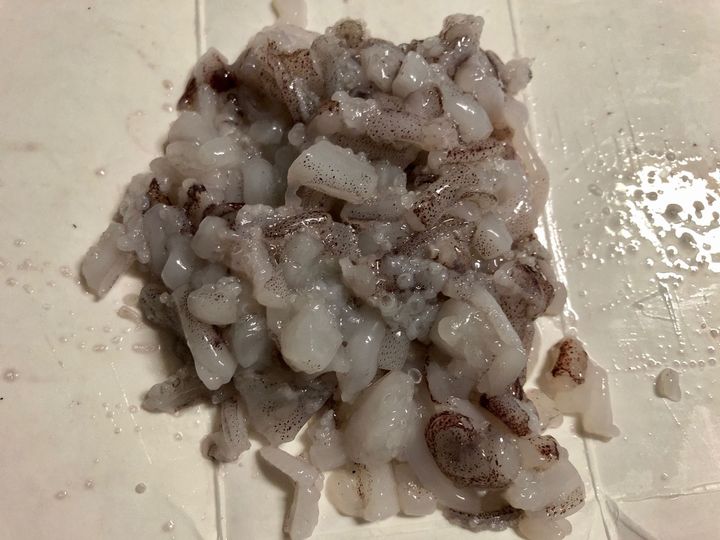 今夜は贅沢に海鮮を楽しんじゃおう！イカとアジを堪能【天然魚クエスト】