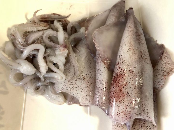 今夜は贅沢に海鮮を楽しんじゃおう！イカとアジを堪能【天然魚クエスト】
