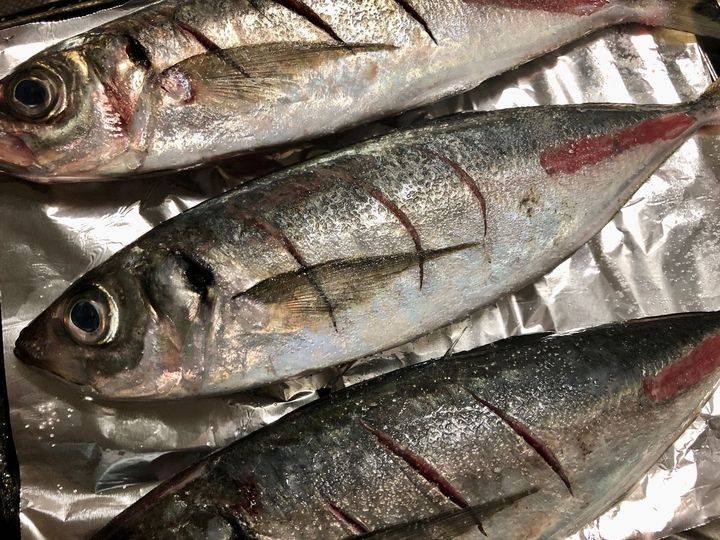 今夜は贅沢に海鮮を楽しんじゃおう！イカとアジを堪能【天然魚クエスト】