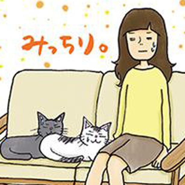 猫とみっちり (C)ゆるりまい／KADOKAWA