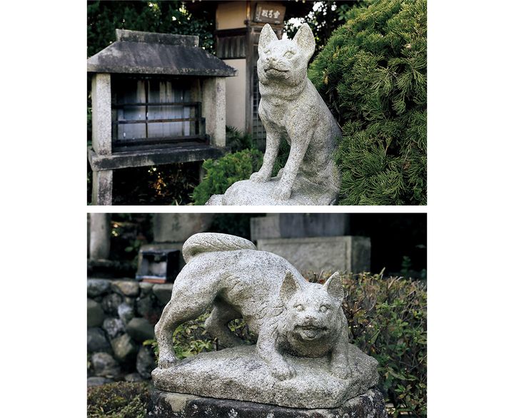 弘法大師の犬