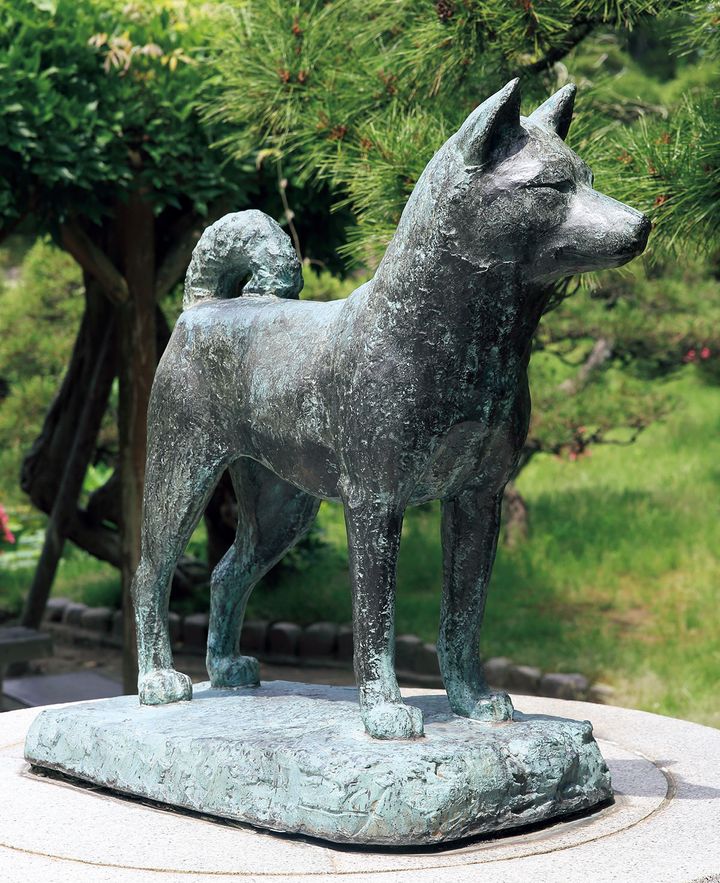 忠犬タマ公像