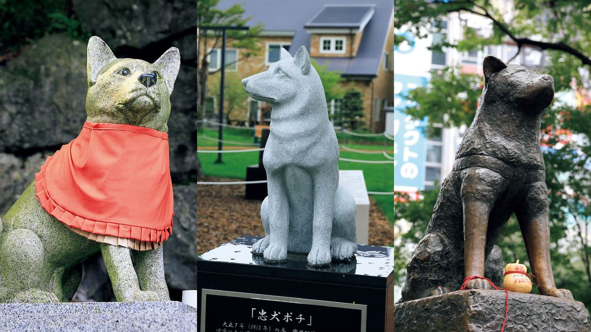 大日窯　信令　犬像 犬と人の絆の証し、「像」になったレジェンド犬たち | TRILL【トリル】