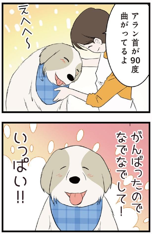 がんばったのでなでなでして！ （C）今日のルンルン、ゆに／KADOKAWA