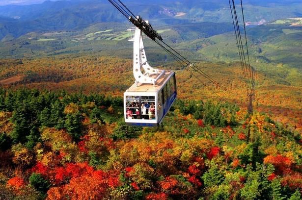 八甲田連峰空の上から紅葉を楽しめる/八甲田連峰の紅葉 画像提供：八甲田ロープウェー