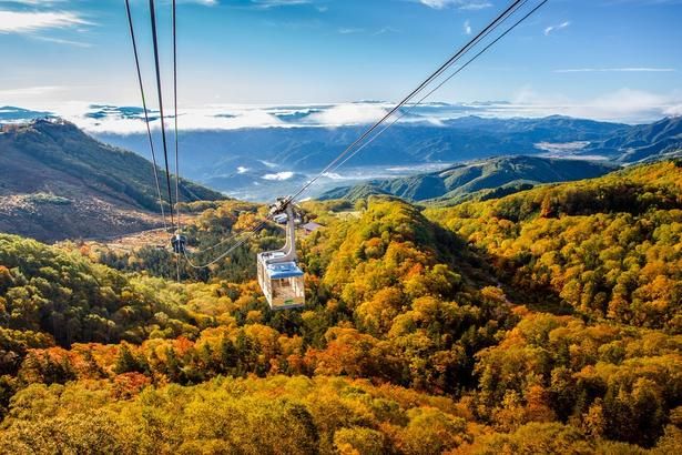 見頃を迎えそうな紅葉名所をピックアップ※写真は栂池自然園の紅葉 画像提供：小谷村観光連盟