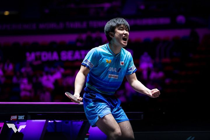 張本智和（C）WTT
