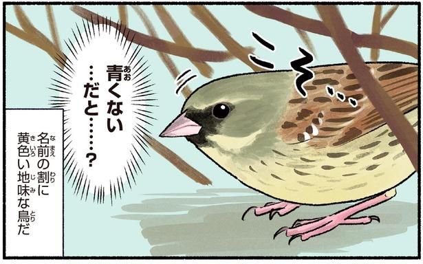 青くない…だと…？ （C）piro piro piccolo／KADOKAWA