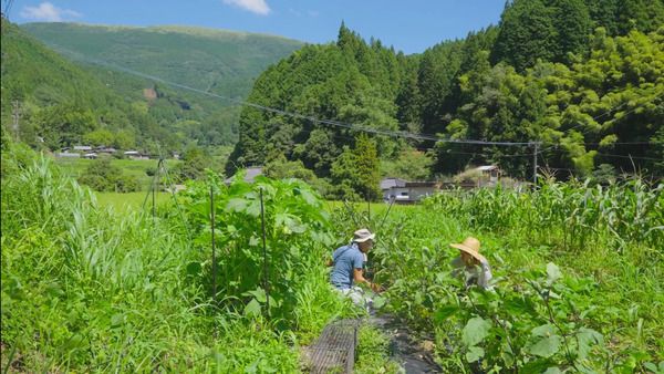 【高知県梼原町】仕事や子育て、地域とのつながりなど移住者のリアルな日常を紹介する動画・記事を公開