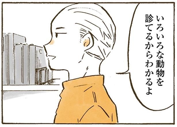 いろいろな動物を診てるからわかるよ （C）佐倉イサミ／KADOKAWA