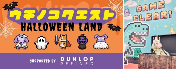 うちの子クエスト〜ハロウィンランド〜