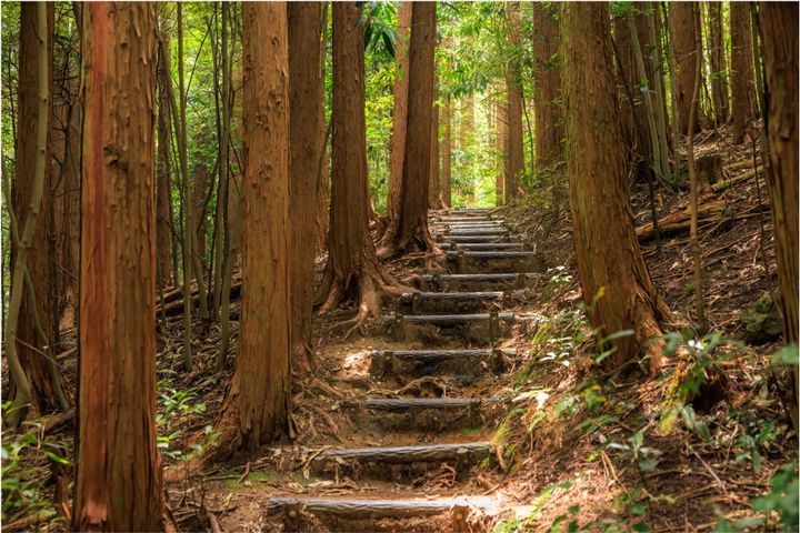 熊野古道 伊勢路（紀北町〜尾鷲市など）