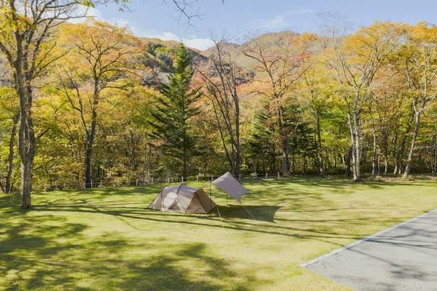 赤城山の森に広がる「スノーピーク 赤城 キャンプフィールド」。木々に囲まれた環境で、自然を身近に感じられる