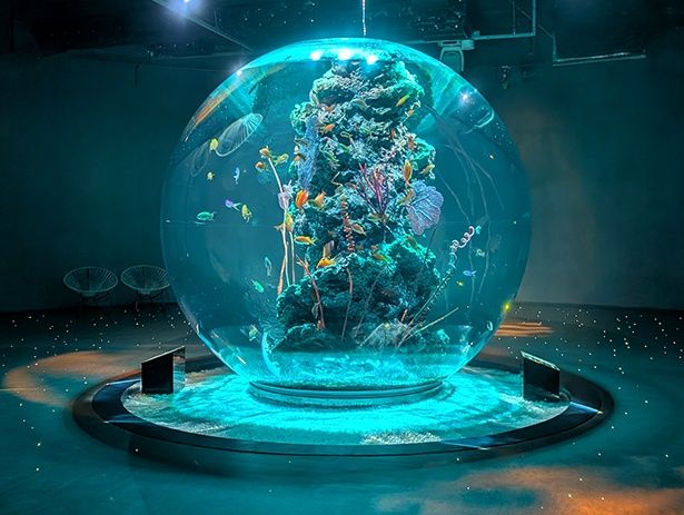 幻想的なビジュアルと演出が人気の「AQUA TERRA(アクアテラ)」