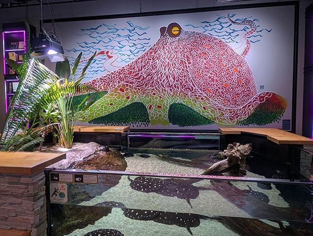 壁面アート「蛸富士」。タコの体が迷路になっており、向かって右にスタートの「S」、左にゴールの「G」が描かれている