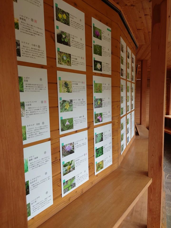 砥峰高原&峰山高原で