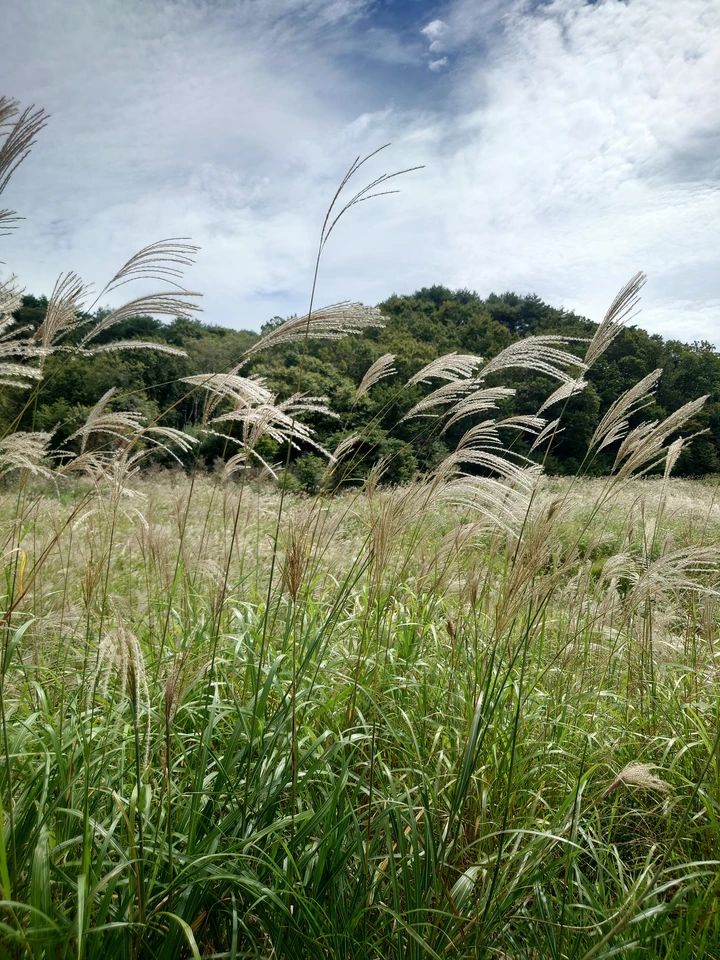 砥峰高原&峰山高原で