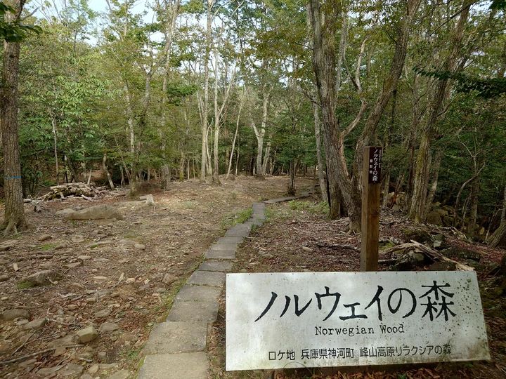 砥峰高原&峰山高原で