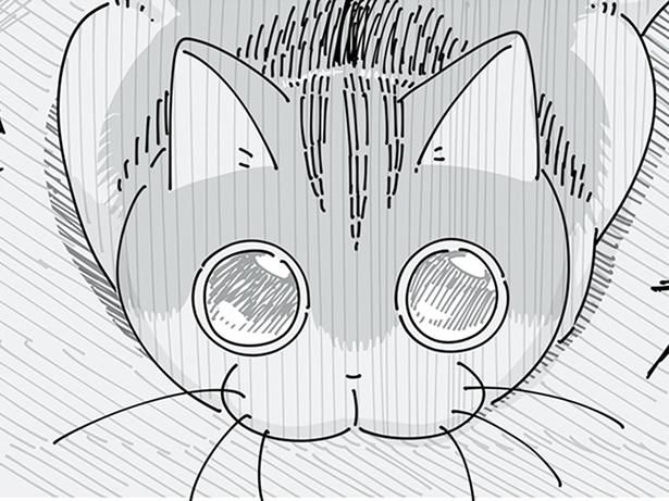 この顔は… （C）キュルZ／KADOKAWA