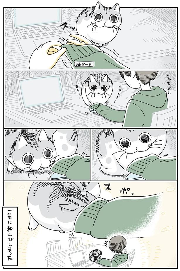 一気に和んでしまった （C）キュルZ／KADOKAWA