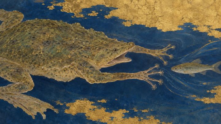 カエルは獲物に触れる前に気づいていた