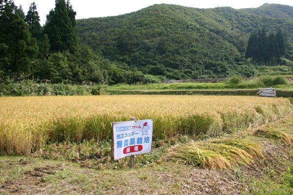 【兵庫県】「西宮酒ぐらルネサンスと食フェア」に学生と企業が開発した10種類のおむすびが登場