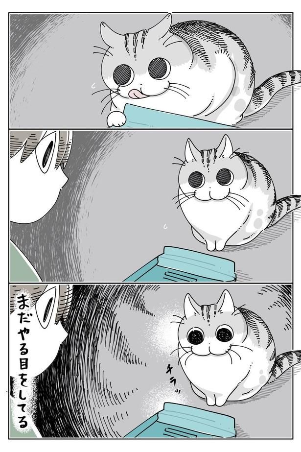 02 画像提供：キュルZ@kyuryuZ