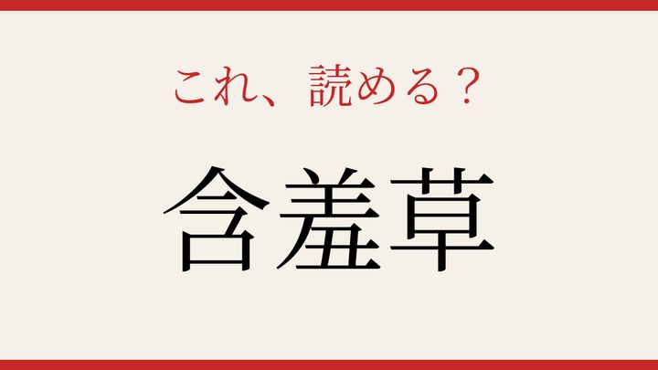 【難読漢字】読み間違いに注意！触れると動く植物の名前の問題画像