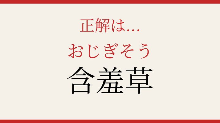 【難読漢字】読み間違いに注意！触れると動く植物の名前の解答画像