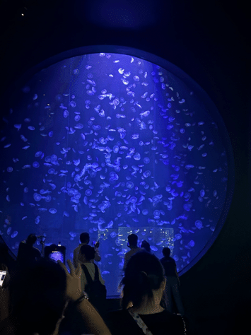 Singapore Ocearnarium
