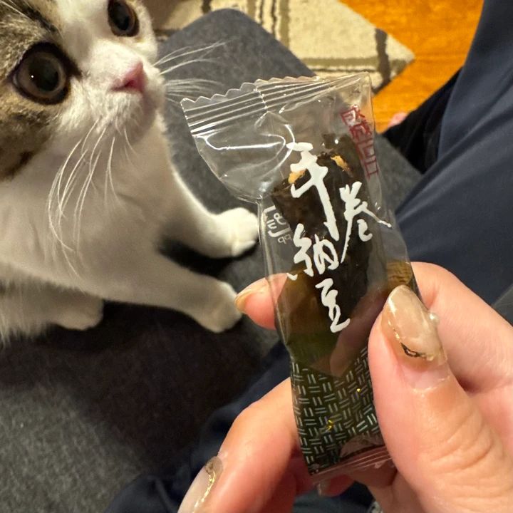 【成城石井】リピート買いするほど美味しい！私がハマっている厳選おやつ3選_4