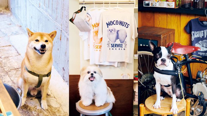 会いに行きたい！あの店の看板犬