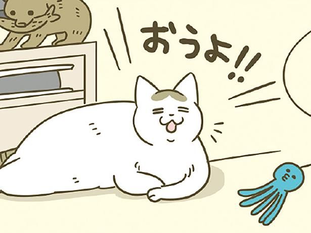 飼い主にかまってくれる猫 （C）卵山玉子／KADOKAWA